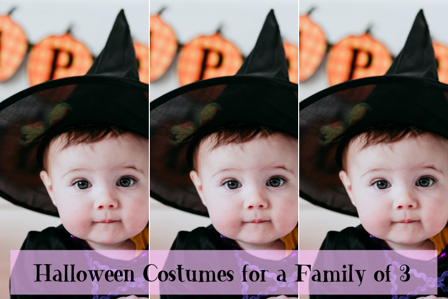 Halloween Family Costumes 4