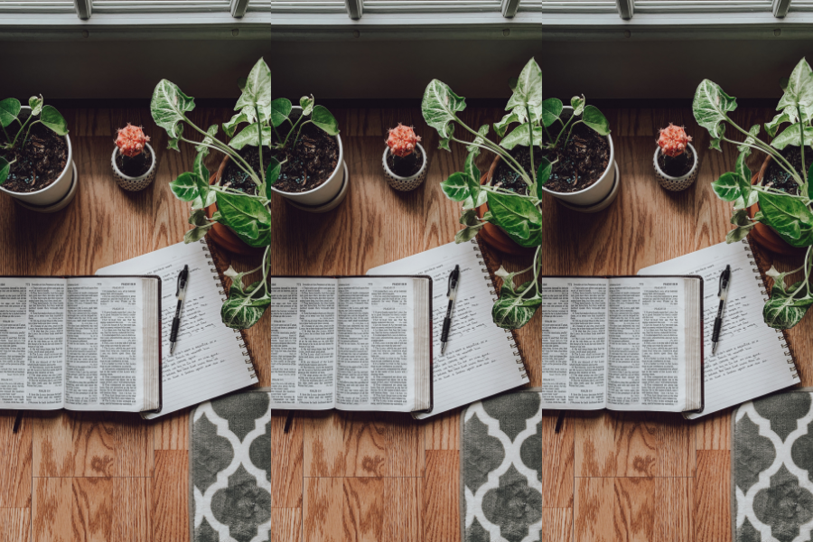 How to Pick the Best Daily Devotional for You